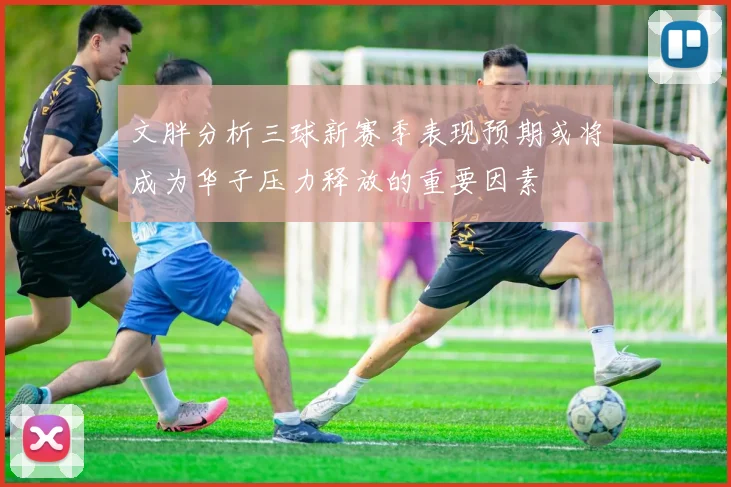 文胖分析三球新赛季表现预期或将成为华子压力释放的重要因素